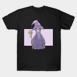 Sloth the Wizard T-Shirt